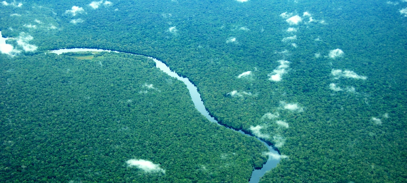 UNEP Study Confirms DR Congo's Potential as Environmental Powerhouse but Warns of Critical Threats