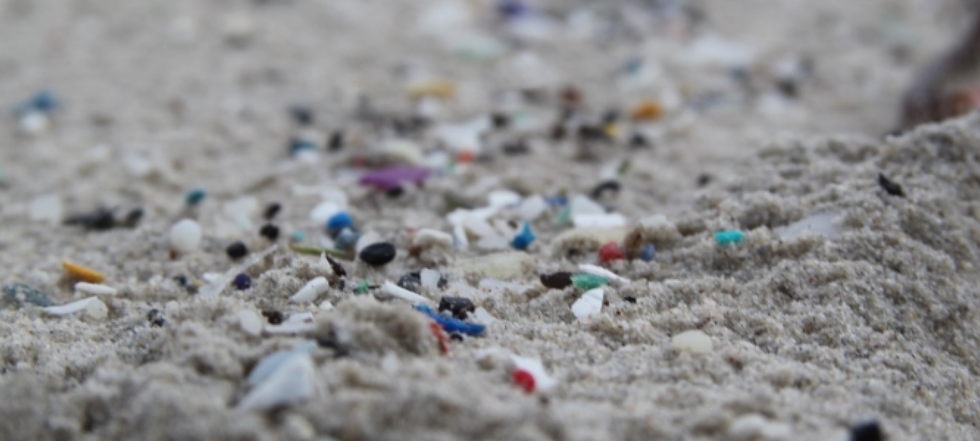 Dutch Rally Support for a Europe Wide Microplastic Ban