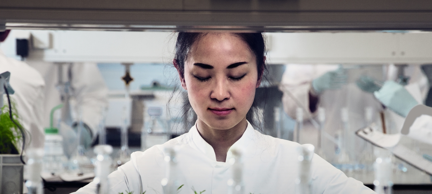 Rabobank and UN Environment announce new billion dollar partnership to kickstart climate smart agriculture