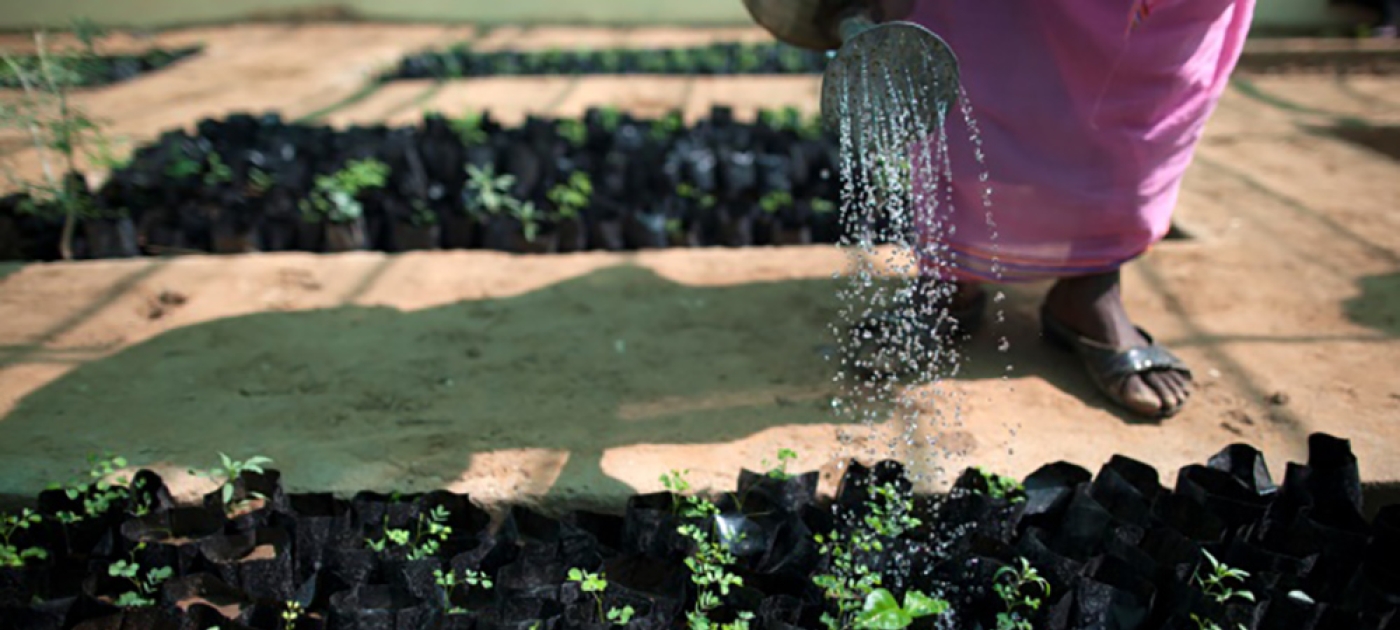 Three in Four Jobs in the Global Workforce Depend on Water, says UN on World Water Day