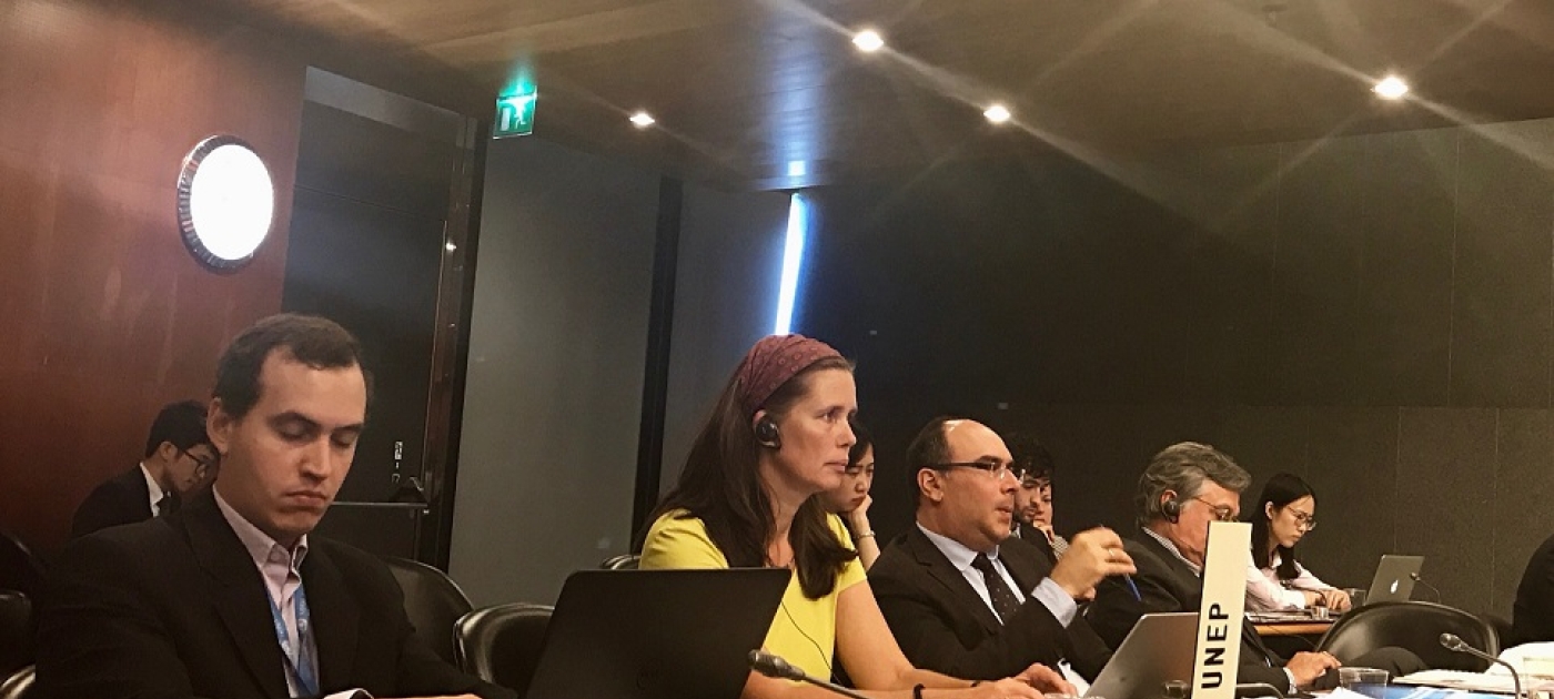 The Environment and Trade Hub Joins WTO Discussions on Trade and Environment