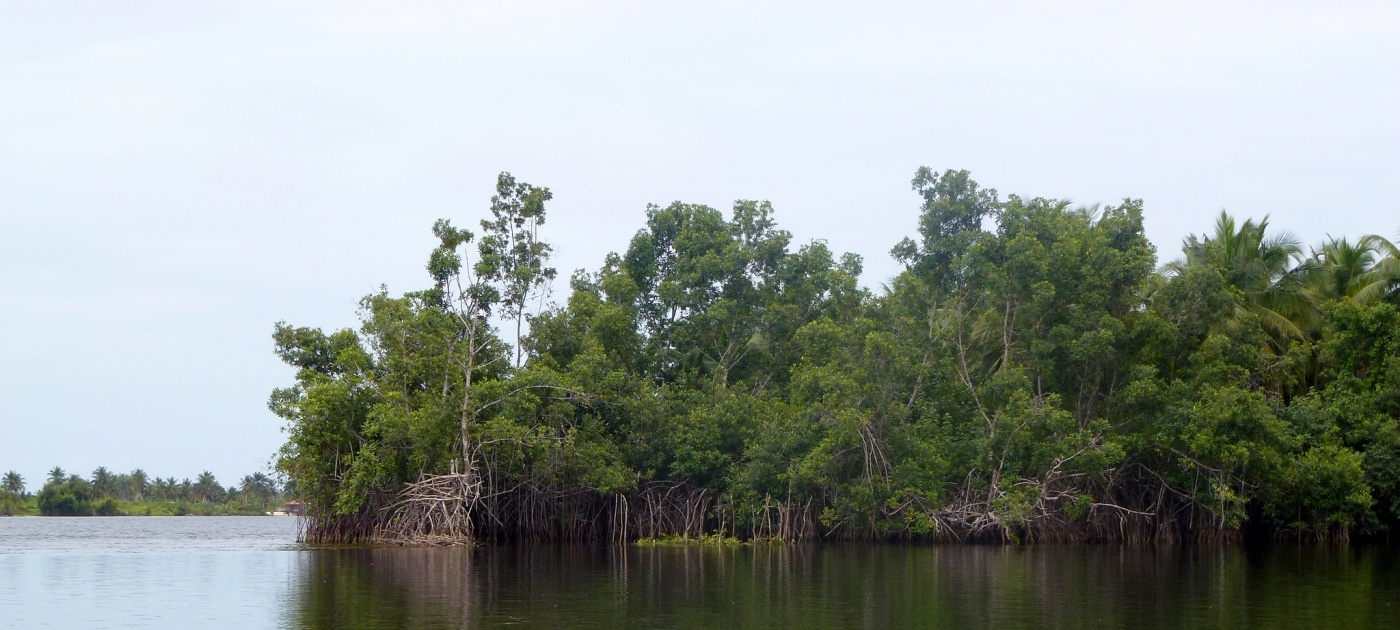 Natural Infrastructure for Business: A Win-Win Solution Within Reach
