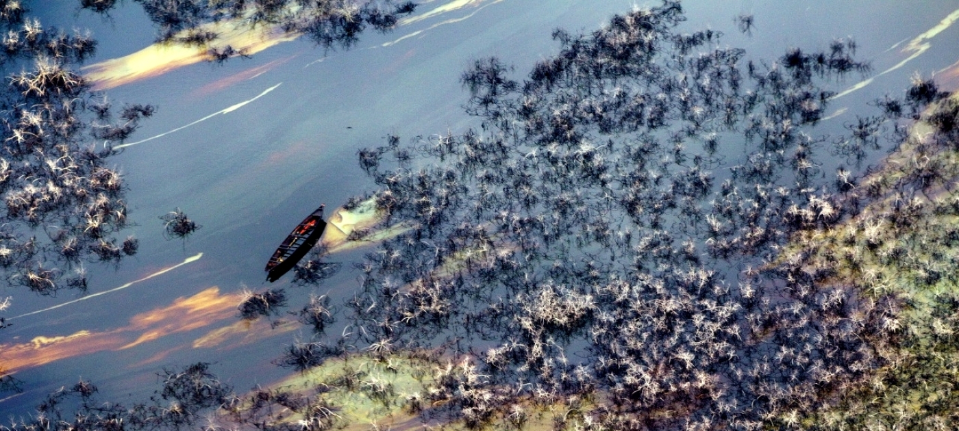 Nigeria Launches $1 Billion Ogoniland Clean-up and Restoration Programme