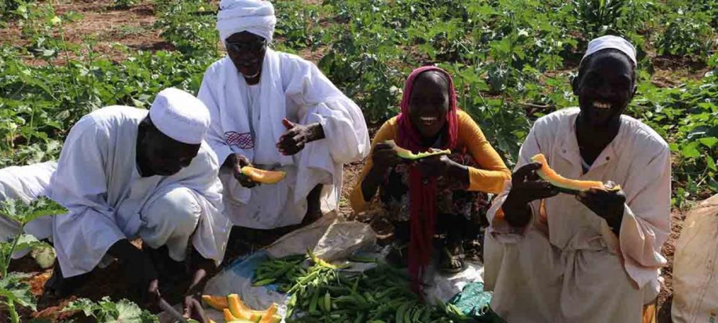 Reaping the benefits of better catchment management in North Darfur