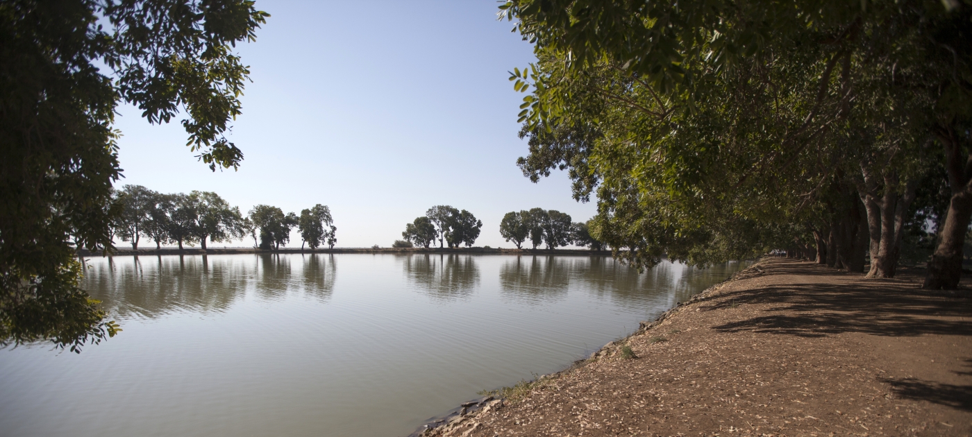 New report - Environmental Governance in Sudan – an Expert Review