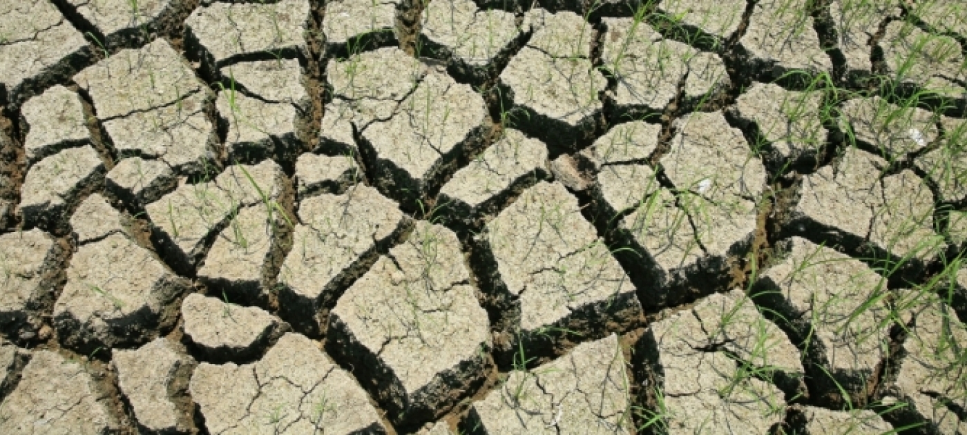 Hundreds of Millions of Hectares, Nearly the Size of Brazil, Face Degradation Threat - UN Report Warns