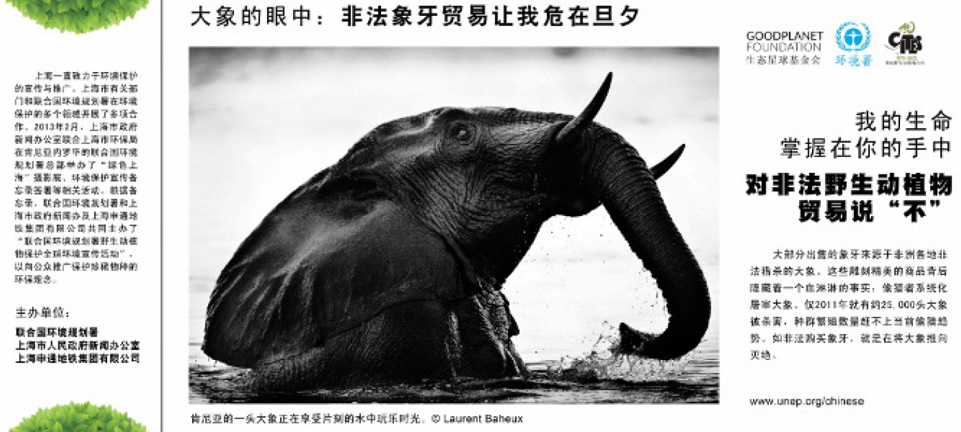 Powerful Posters Bring Wildlife Protection Message to Millions on Shanghai Metro