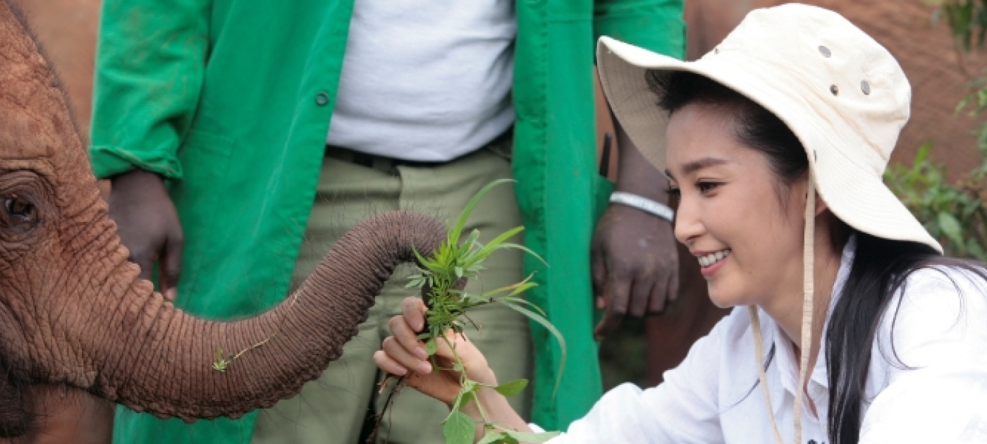 China's Top Actress Urges Greater Effort to End Illegal Ivory Trade on Visit to Kenya