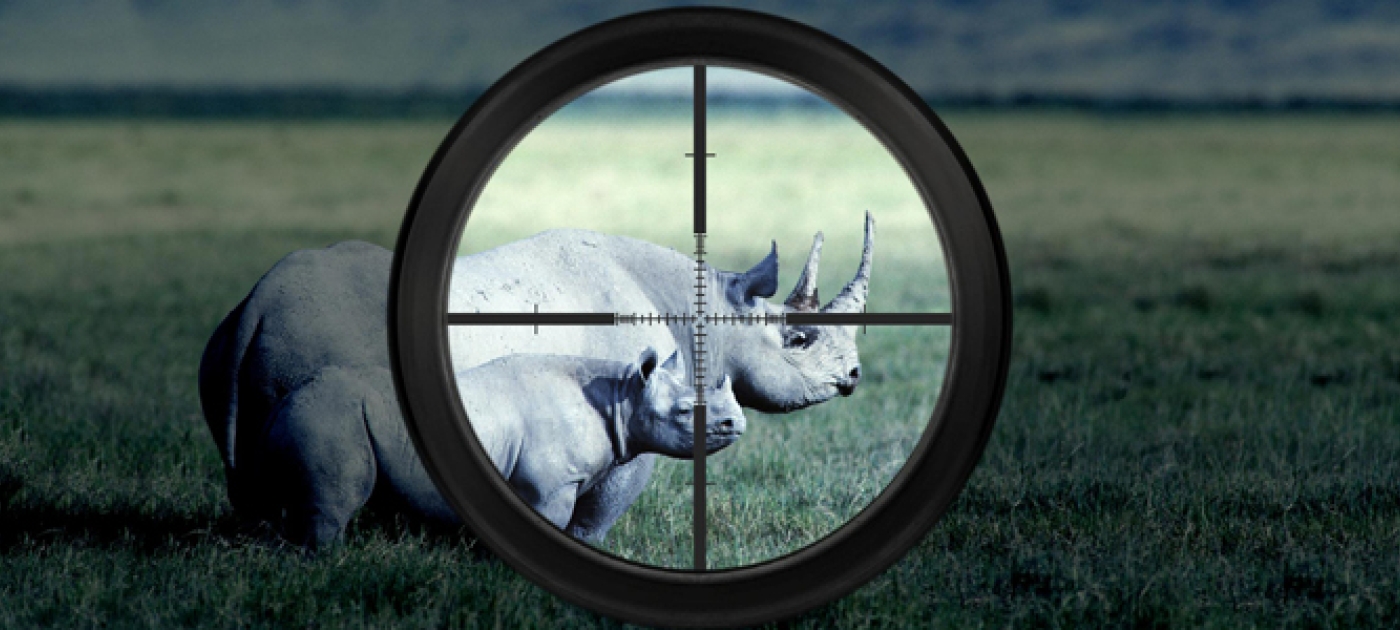 UNEP and INTERPOL Assess Impacts of Environmental Crime on Security and Development