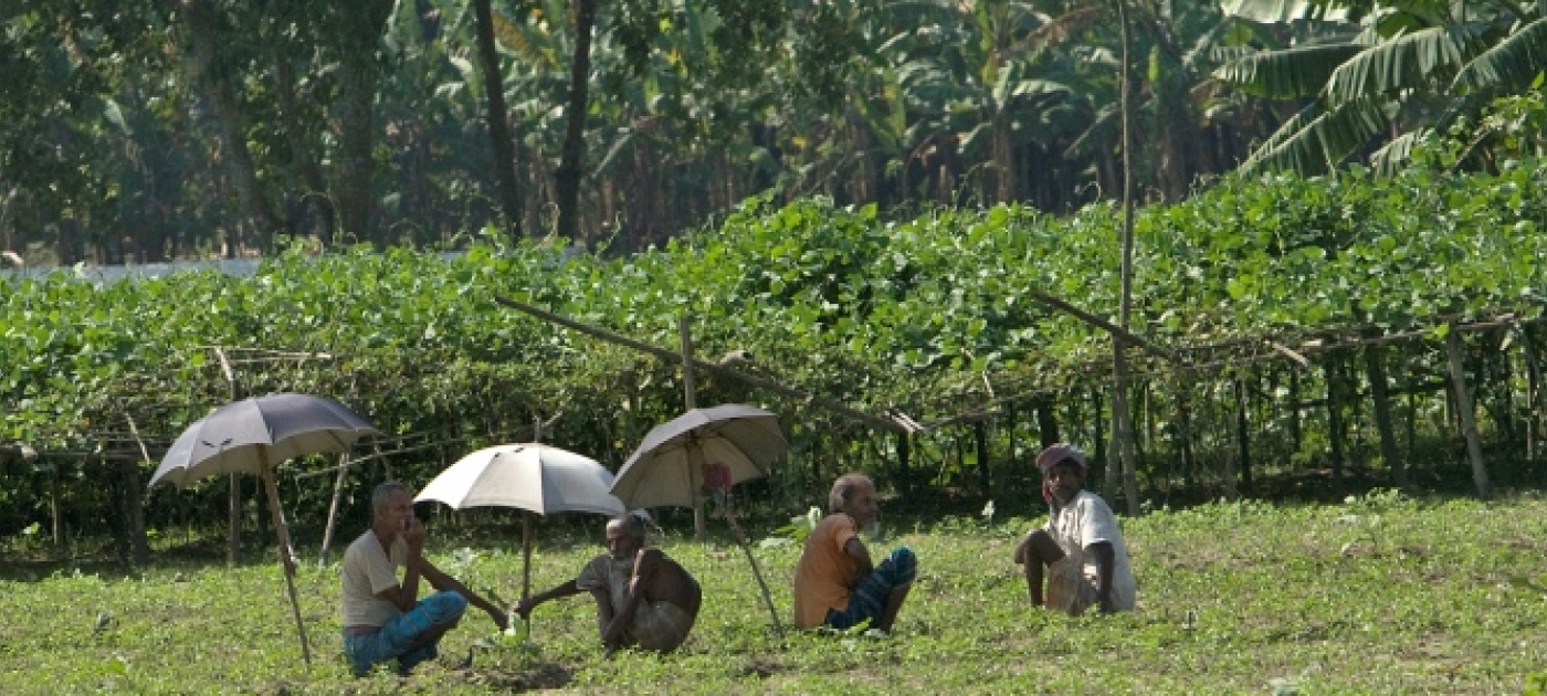 High Level Panel Releases Recommendations for World's Next Development Agenda