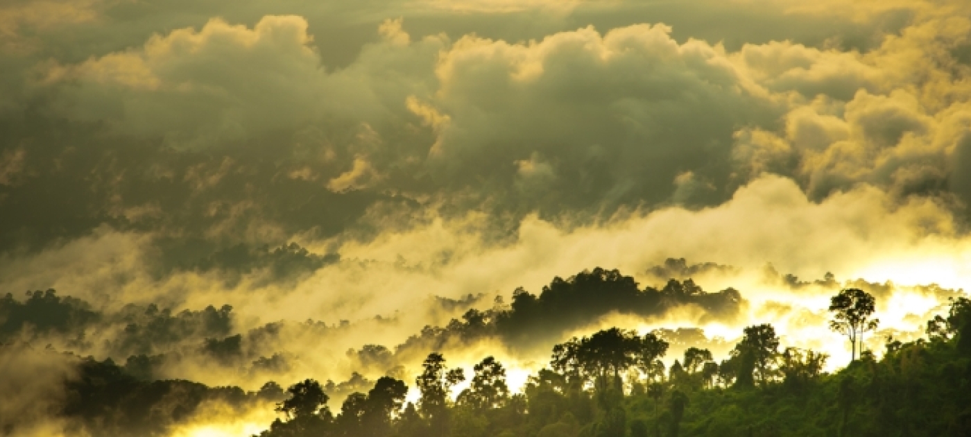 World-First REDD+ Academy Launched in Indonesia
