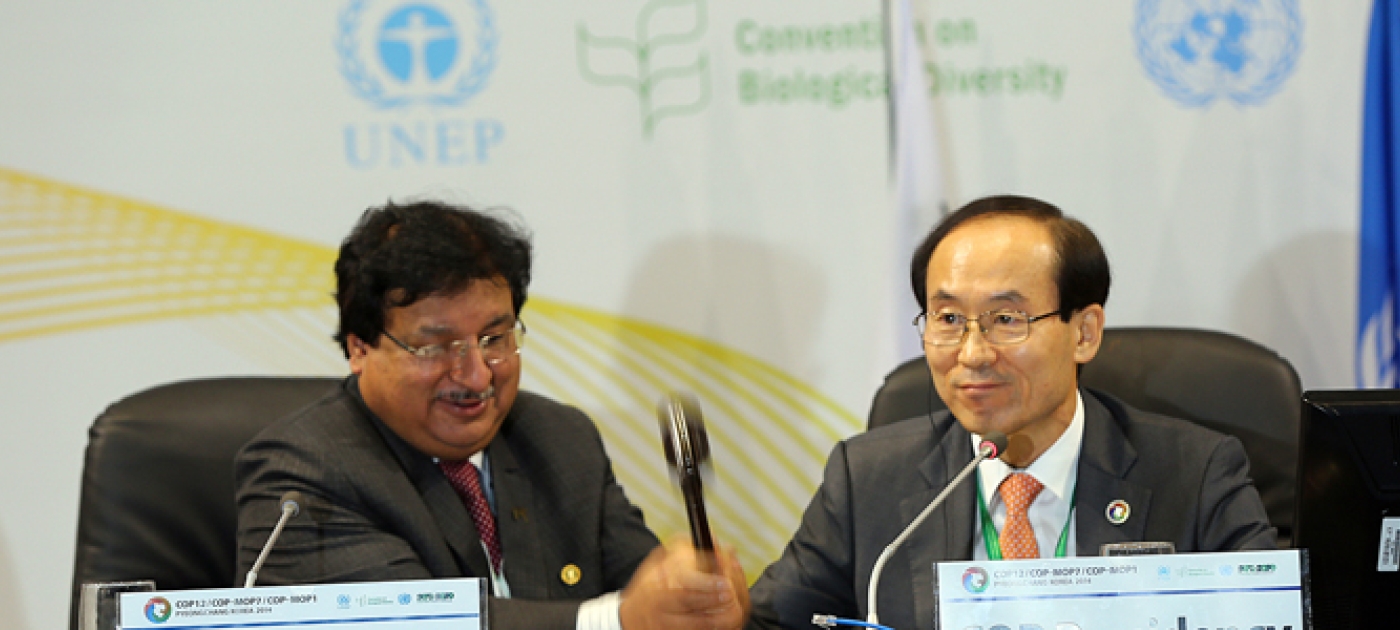 Governments Commit to Significant Funding Increase and Accelerated Action to Achieve Biodiversity Targets and Sustainable Development