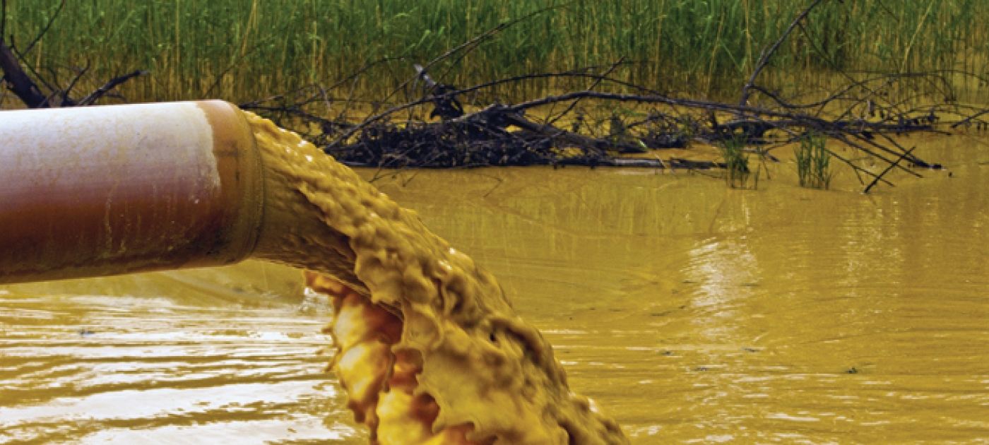 Effects of Human and Wildlife Exposure to Hormone-Disrupting Chemicals Examined in Landmark UN Report