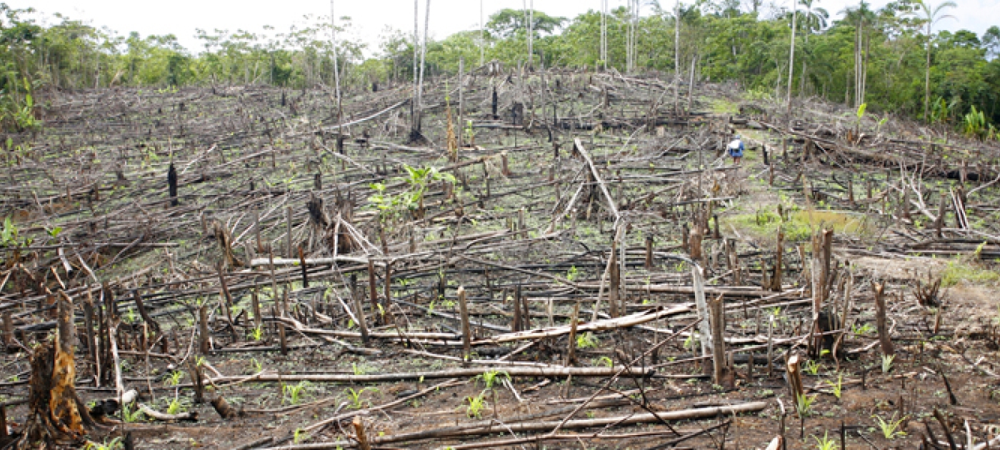 New Study Shows Multi-Trillion Dollar Natural Capital Risk Underlining Urgency of Green Economy Transition