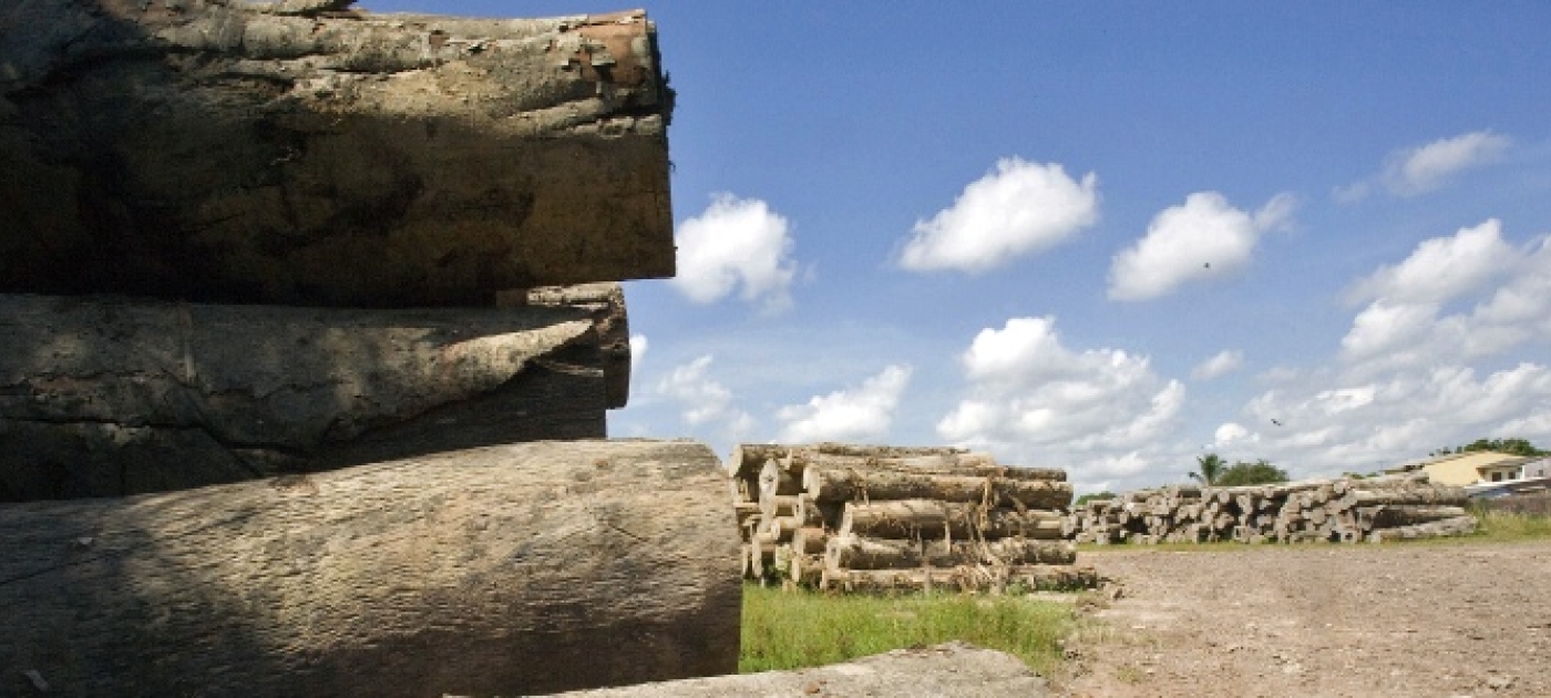 Saving the World's Forests: A Technology Revolution to Curb Illegal Logging