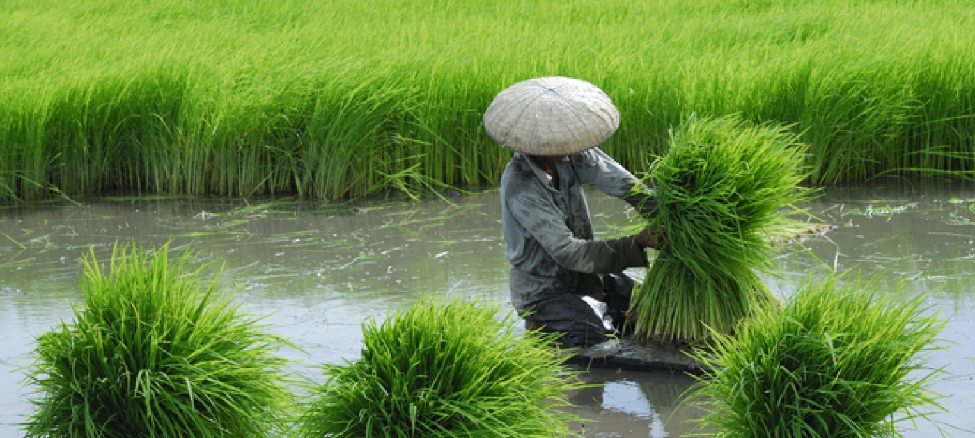 China Outpacing Rest of World in Natural Resource Use
