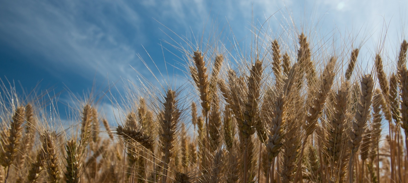 Report on Health and Biodiversity Demonstrates Human Health Benefits from Protecting Biodiversity