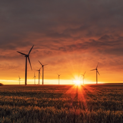 Access information on Multilateral Environmental Agreements