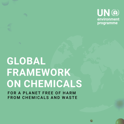 Thumbnail showing part of the cover of the Global Framework on Chemicals brochure
