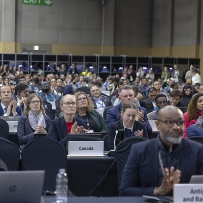 Plenary of INC-5