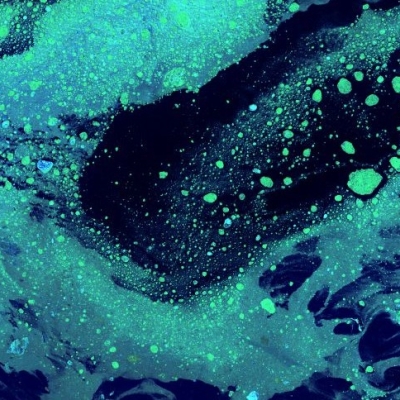 wedocs image