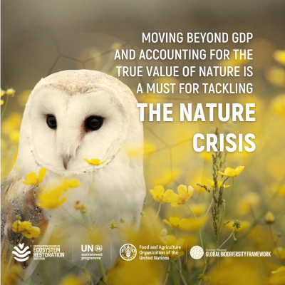 Nature crisis - social card
