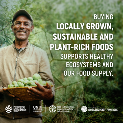 Sustainable food