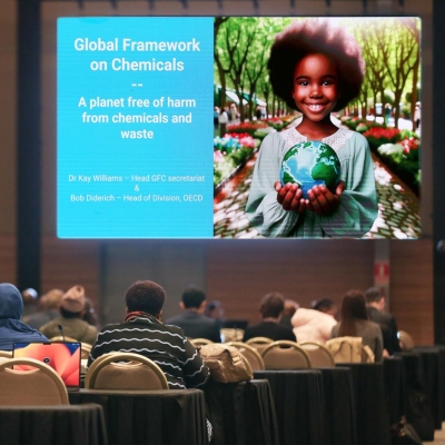 Global Framework on Chemicals
