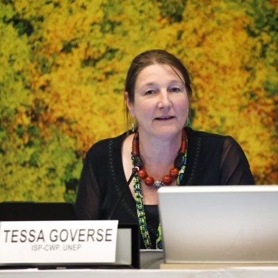 Tessa Goverse chairing a meeting
