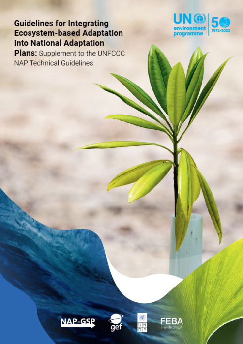 Report Cover