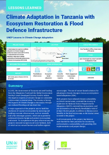 Lessons Learned: Climate Adaptation in Tanzania with Ecosystem Restoration & Flood Defence Infrastructure