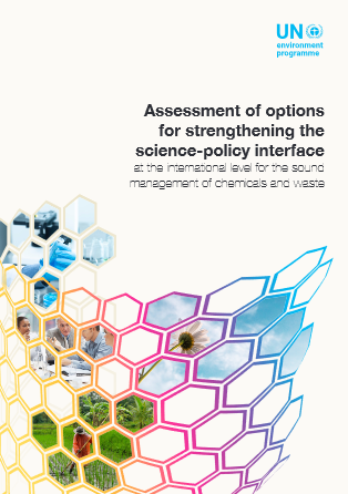 Assessment of options for strengthening the science-policy interface at the international level for the sound management of chemicals and waste