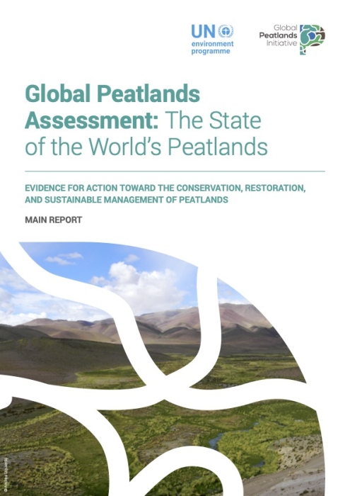 Global Peatlands Assessment 2022