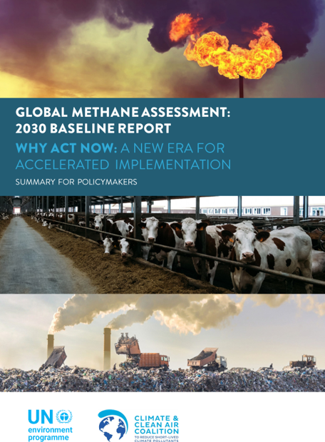 Report cover