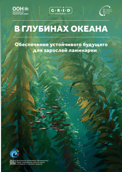 Into the Blue: Securing a Sustainable Future for Kelp Forests