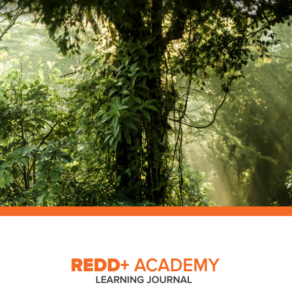 Academy 