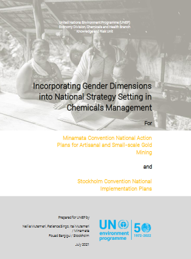 Incorporating Gender Dimensions into National Strategy Setting in Chemicals Management
