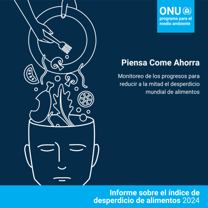 Informe índice desperdicio alimentos 2024