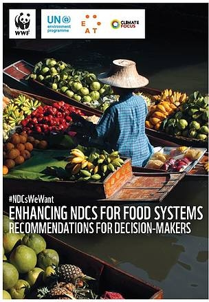 Enhancing NDCs For Food Systems - recommendations for decision-makers