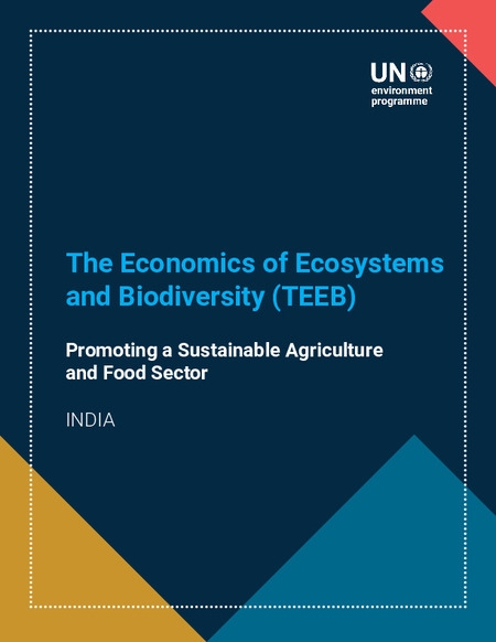 Report cover