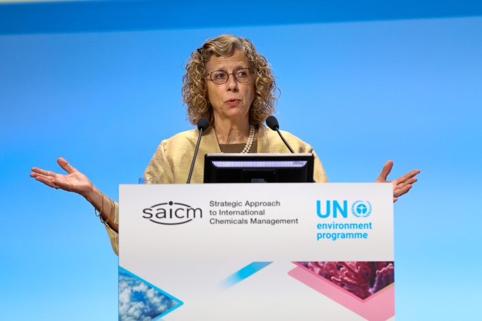 UNEP Executive Director Inger Andersen at ICCM5/Photo by IISD/ENB | Mike Muzurakis