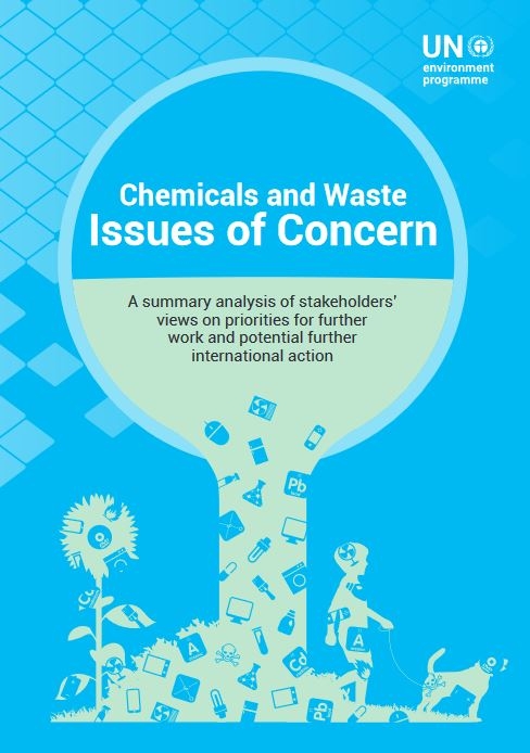 Chemicals and Waste Issues of Concern: A Summary Analysis of Stakeholder's Views