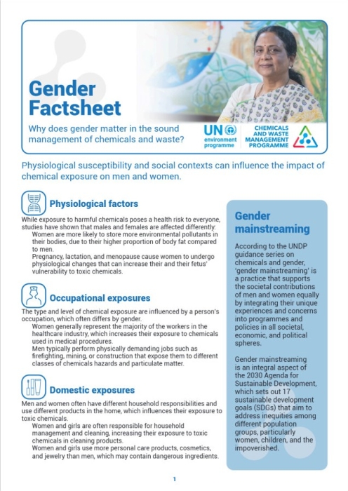 Gender Factsheet: Why does gender matter in the sound management of chemicals and waste?