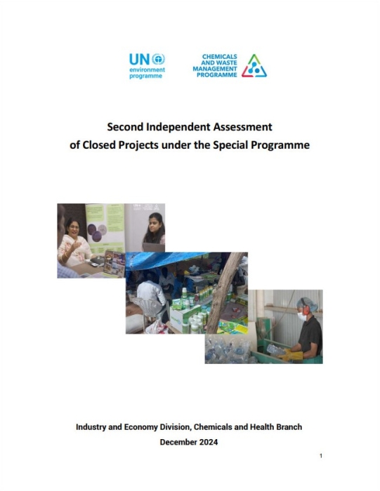 Second Independent Assessment of Closed Projects under the Special Programme