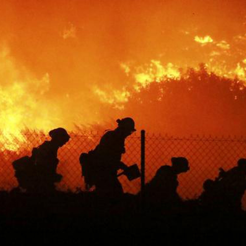 wildfires