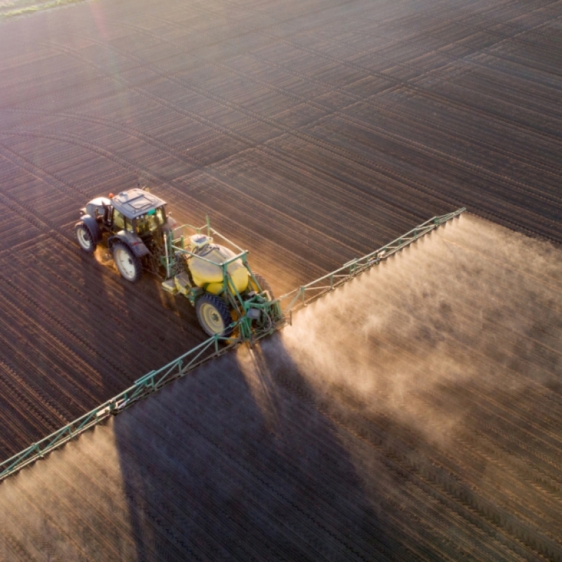 imge