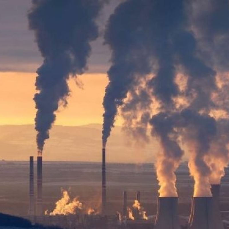 Carbon emissions from coal plants. doc