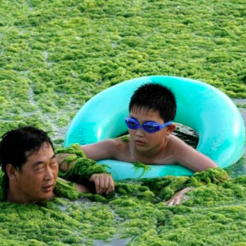 wastewater
