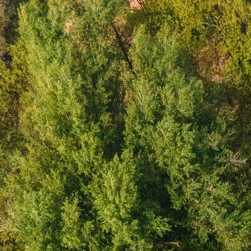 unsplash