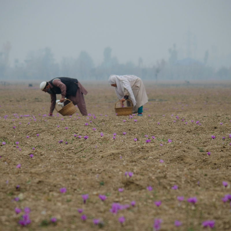 Photo by Arka Roy/Unsplash